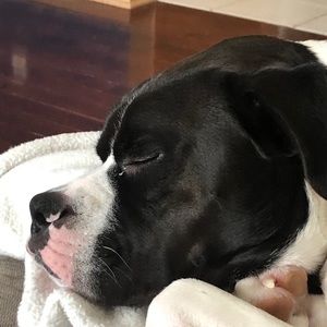 Meet your Posher, Kaya